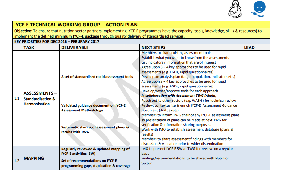 IYCF-E Technical Working Group Action Plan