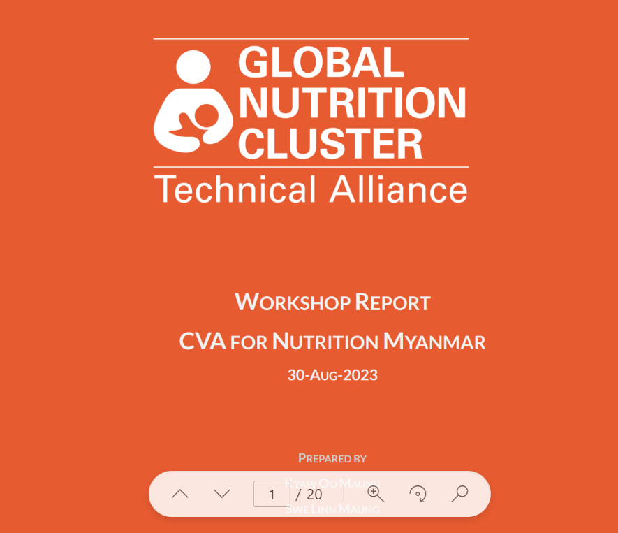 Brief CVA workshop report 