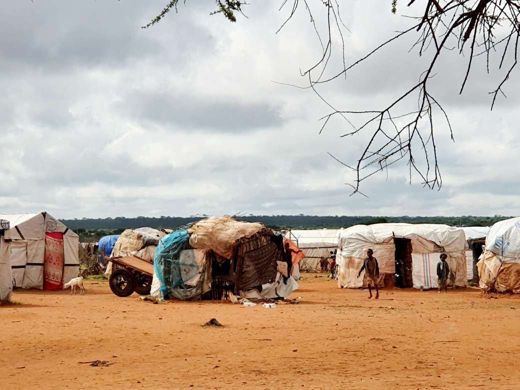 Photo Credit: © Brooke Bauer, Borena, Ethiopia, 2023 07 DEC 2023