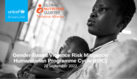 GBV Risk Mitigation HRP Presentation