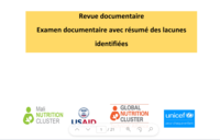 Revue documentaire Examen documentaire avec résumé des lacunes  identifiées