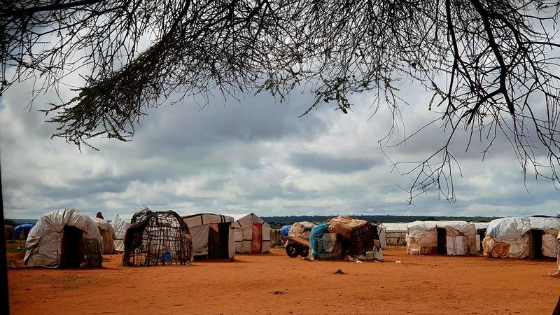 Brooke Bauer, Borena, Ethiopia, 2023